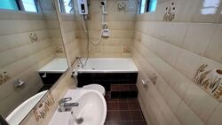 Dunearn Road (D11), Condominium #594073381